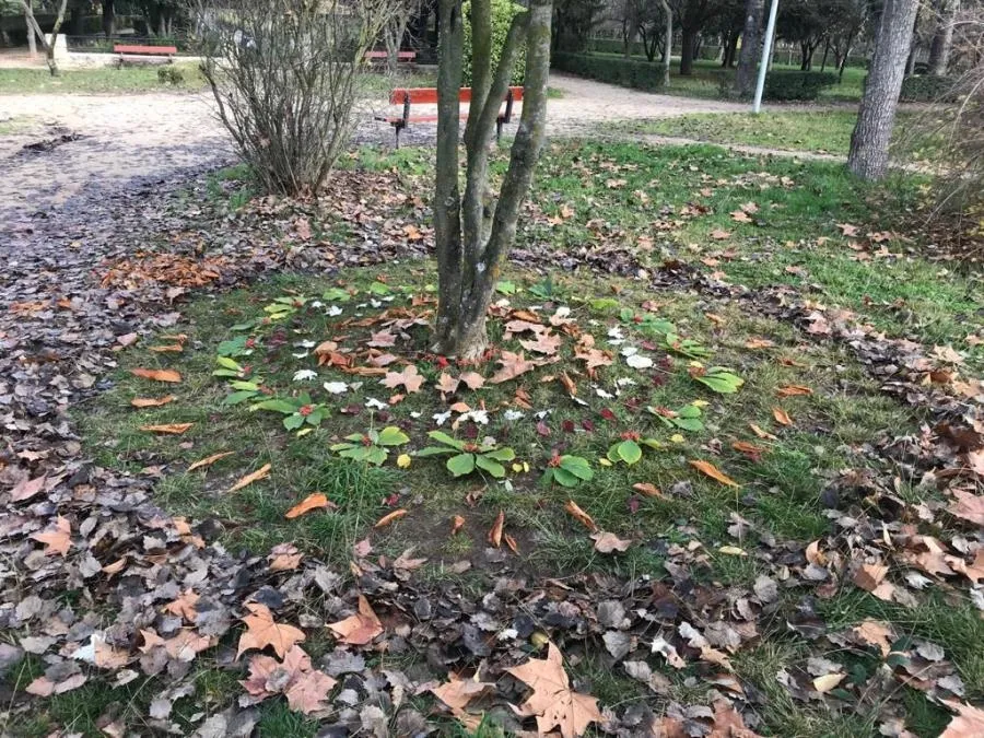 Foto 3 - Usuarios de Insolamis disfrutan una experiencia art&iacute;stica en el parque de los Jesuitas