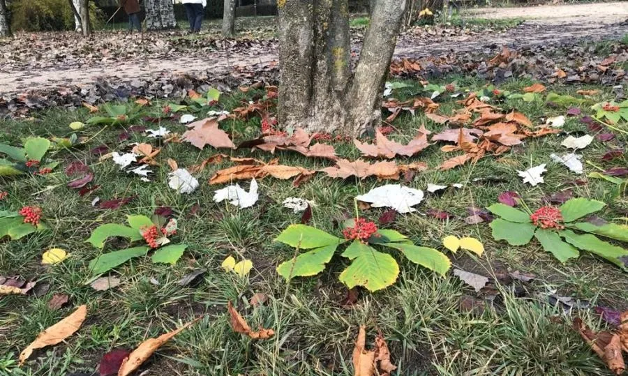 Foto 2 - Usuarios de Insolamis disfrutan una experiencia art&iacute;stica en el parque de los Jesuitas