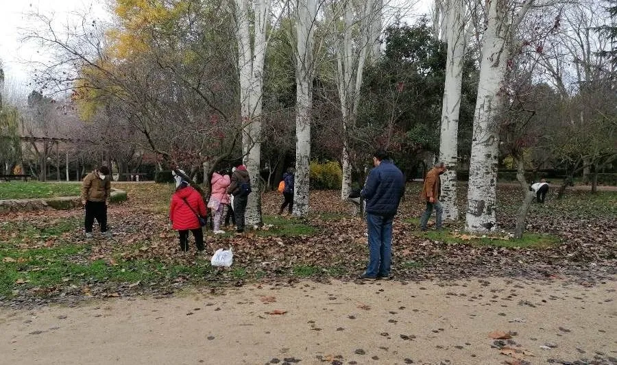 Foto 6 - Usuarios de Insolamis disfrutan una experiencia art&iacute;stica en el parque de los Jesuitas