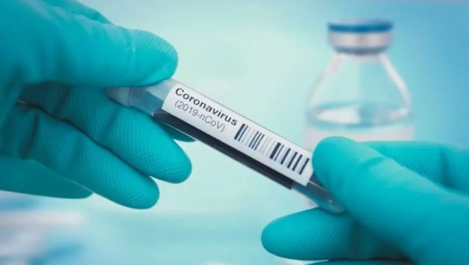 Un ensayo español permite el adiestramiento de perros para detectar a portadores de Covid-19  