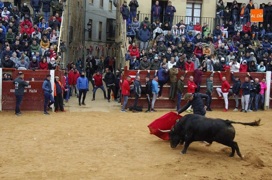 El Carnaval del Toro no se suspendía desde la Guerra Civil  