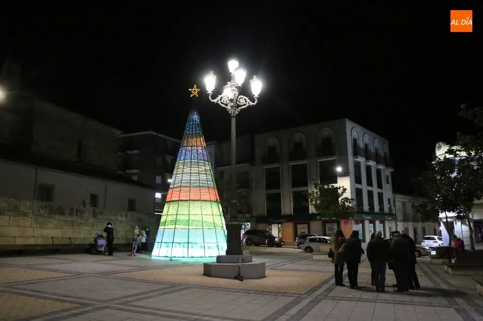 Foto 11 - Vitigudino se viste de Navidad con el encendido de la iluminaci&oacute;n navide&ntilde;a  