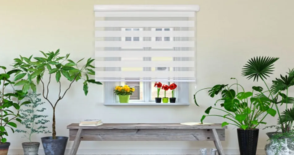 Enróllate con los estores y persianas venecianas de fabricadeestores.com  