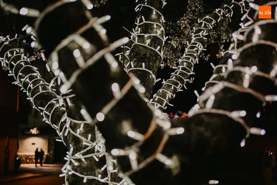 Foto 5 - Alba de Tormes enciende sus luces de Navidad