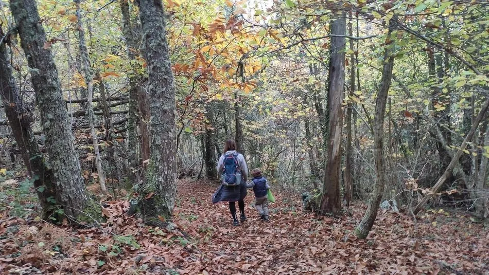 Bosque de La Honfría en la sierra de Las Quilamas (Salamanca). - EUROPA PRESS - Archivo