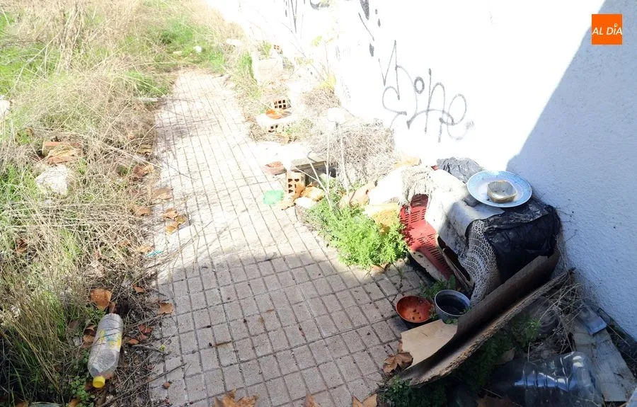 Foto 4 - Preocupaci&oacute;n por la falta de limpieza en las casas abandonadas de la avenida de la Merced