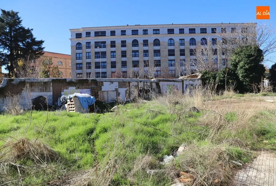 Foto 5 - Preocupaci&oacute;n por la falta de limpieza en las casas abandonadas de la avenida de la Merced