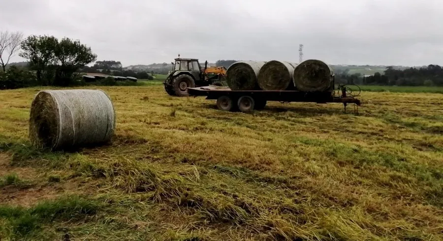 Durante los últimos años el sistema de seguros agrarios ha soportado un déficit estructural. Foto de archivo EP