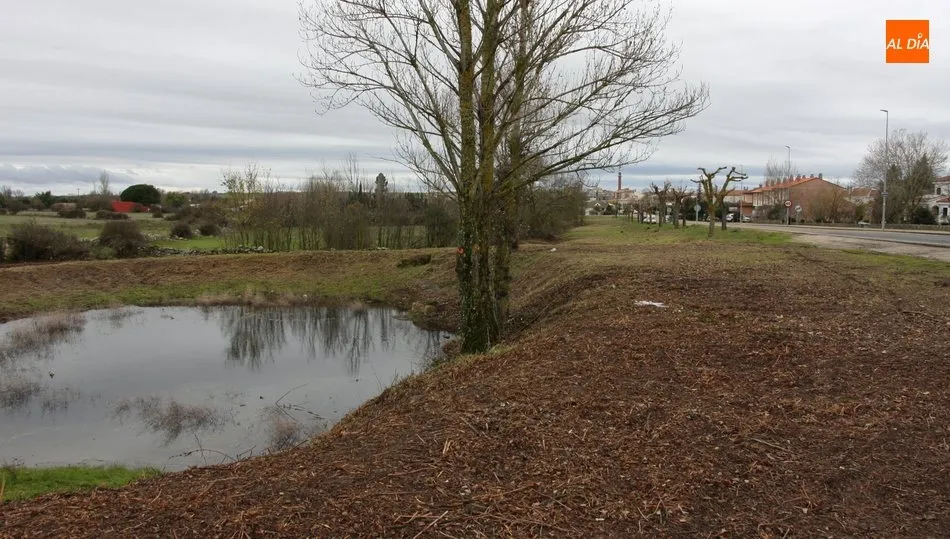 Los trabajos han afectado incluso a la zona de charca
