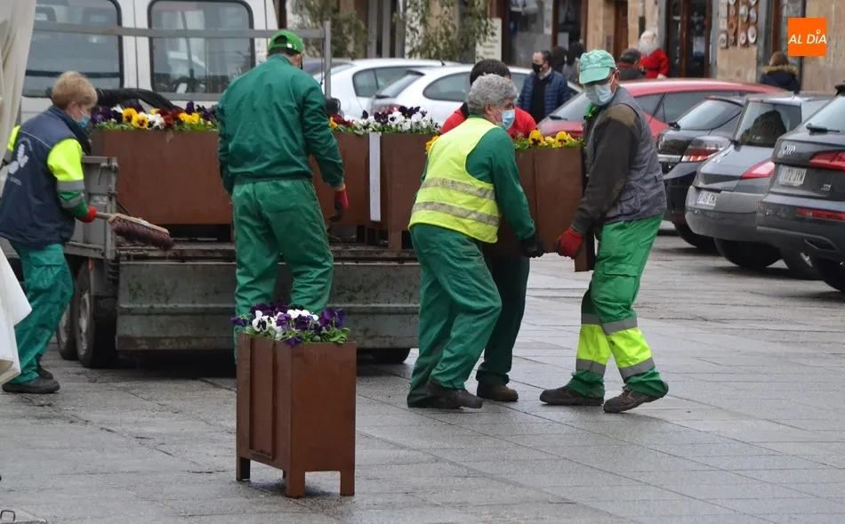 Foto 2 - Vuelven a la Plaza Mayor las jardineras m&aacute;s peque&ntilde;as para delimitar las terrazas  