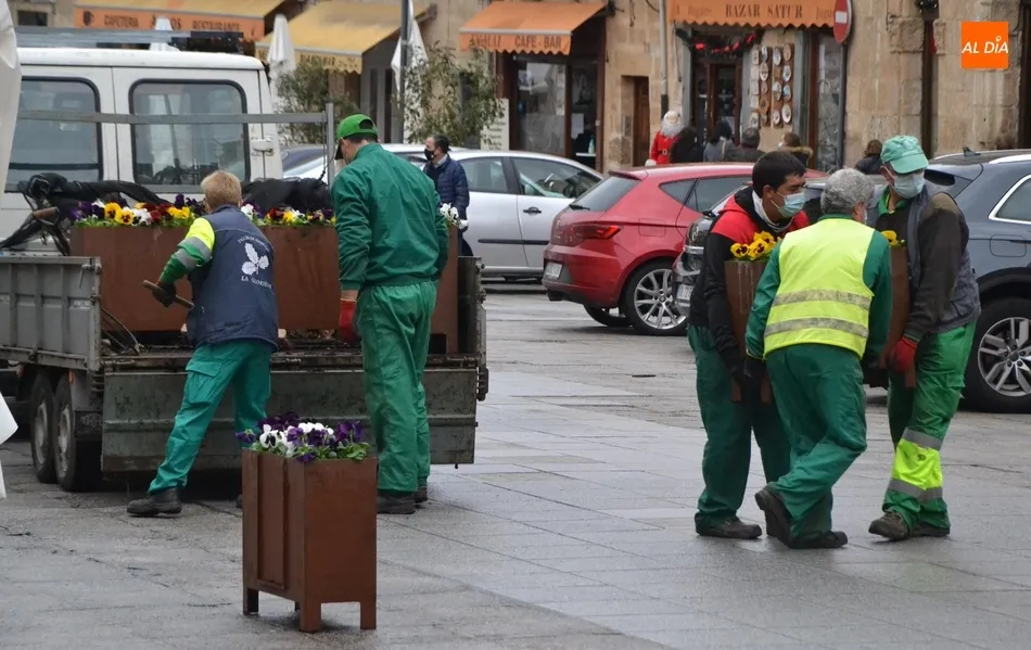 Vuelven a la Plaza Mayor las jardineras más pequeñas para delimitar las terrazas  