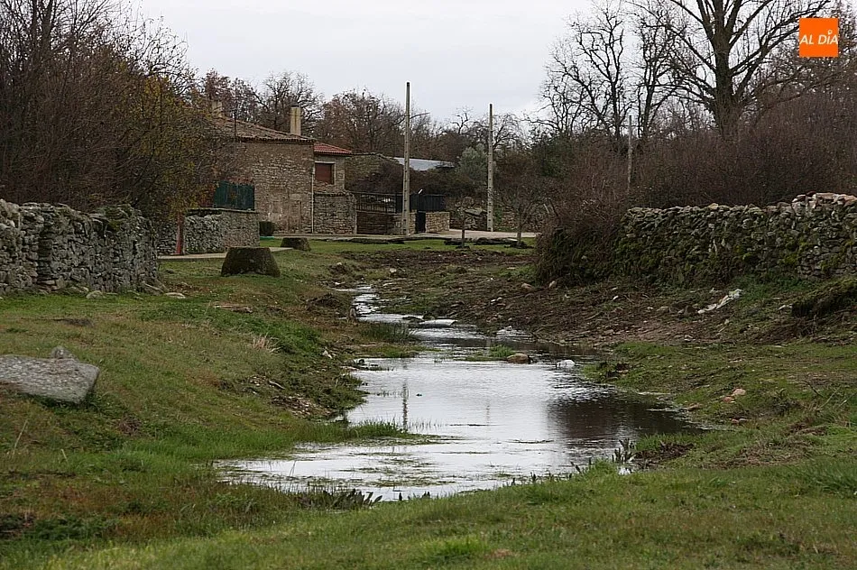 Foto 10 - Peralejos de Arriba procede a la limpieza del arroyo Santa Catalina para evitar su desbordamiento  