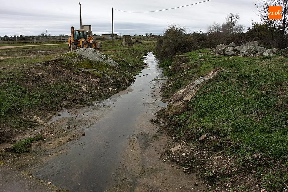 Foto 4 - Peralejos de Arriba procede a la limpieza del arroyo Santa Catalina para evitar su desbordamiento  
