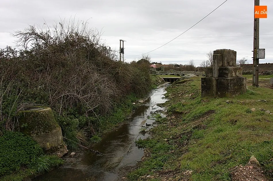 Foto 3 - Peralejos de Arriba procede a la limpieza del arroyo Santa Catalina para evitar su desbordamiento  