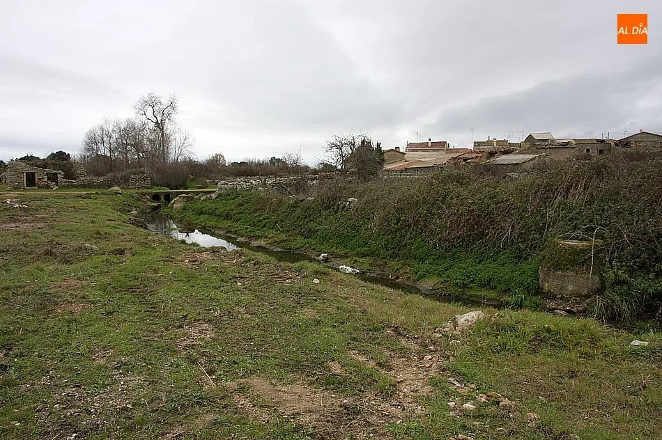 Foto 2 - Peralejos de Arriba procede a la limpieza del arroyo Santa Catalina para evitar su desbordamiento  