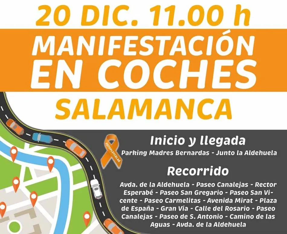 Foto 2 - Salamanca se sumar&aacute; este domingo a la manifestaci&oacute;n en coche en protesta por la Ley Cela&aacute;