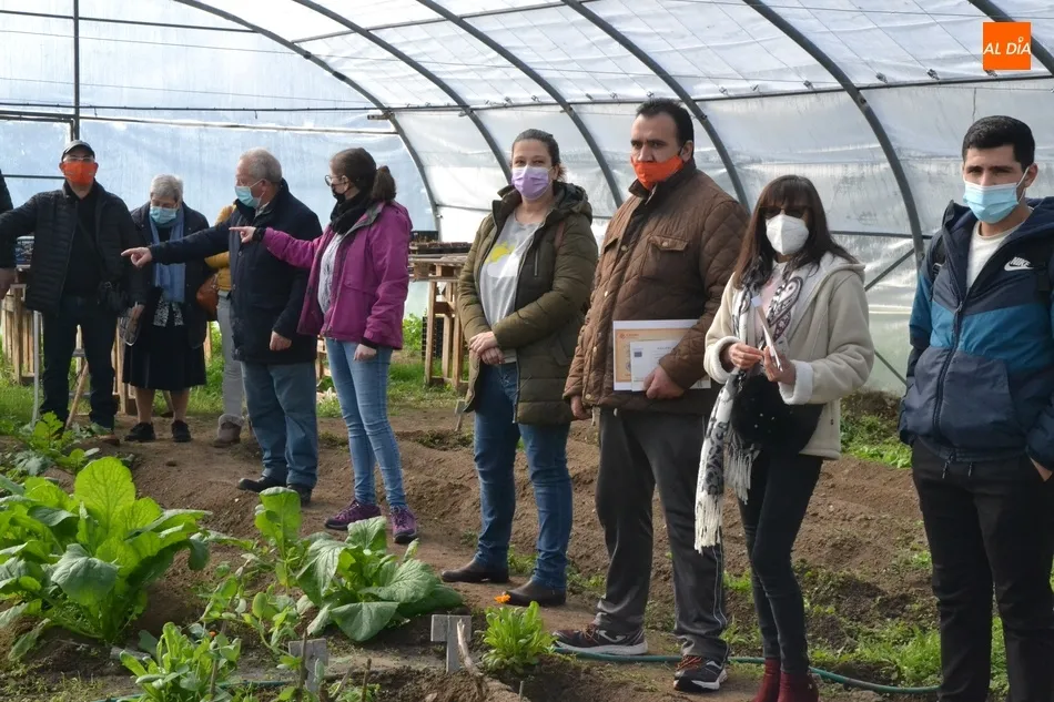 Foto 4 - Llega a su final la acci&oacute;n en agricultura ecol&oacute;gica de C&aacute;ritas, que ha contado con 8 alumnos  