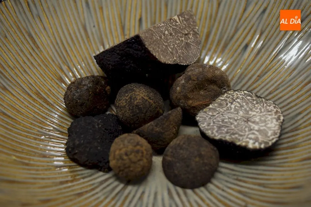 Restaurante Casa El Vive, lo mejor para el paladar