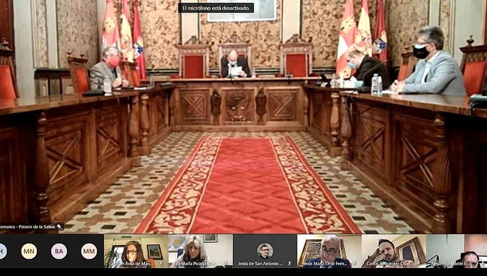 La sesión se celebró de manera telemática con la única asistencia presencial de los portavoces y el presidente provincial