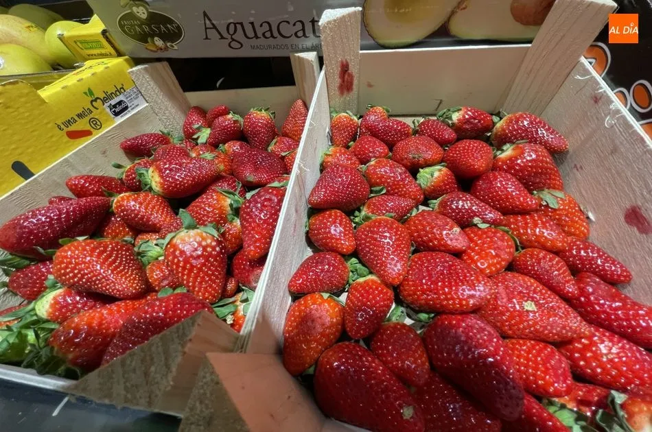 Foto 7 - Supermercados Unide Market, la oferta m&aacute;s econ&oacute;mica y variada de esta Navidad