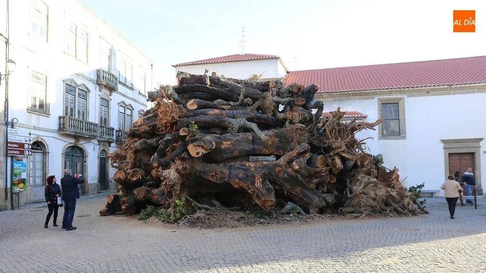 Foto 5 - Penamacor mantiene la tradici&oacute;n del mayor madero de Portugal, este a&ntilde;o online  