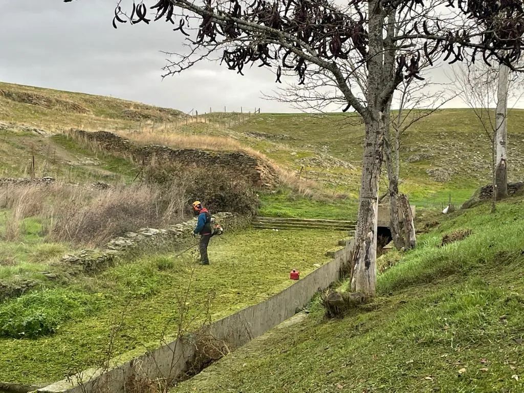 Trabajos de desbroce en la Fuente del Cornezuelo