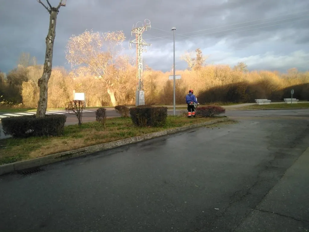 Foto 5 - Trabajos de desbroce y jardiner&iacute;a en diferentes puntos de Alba de Tormes  