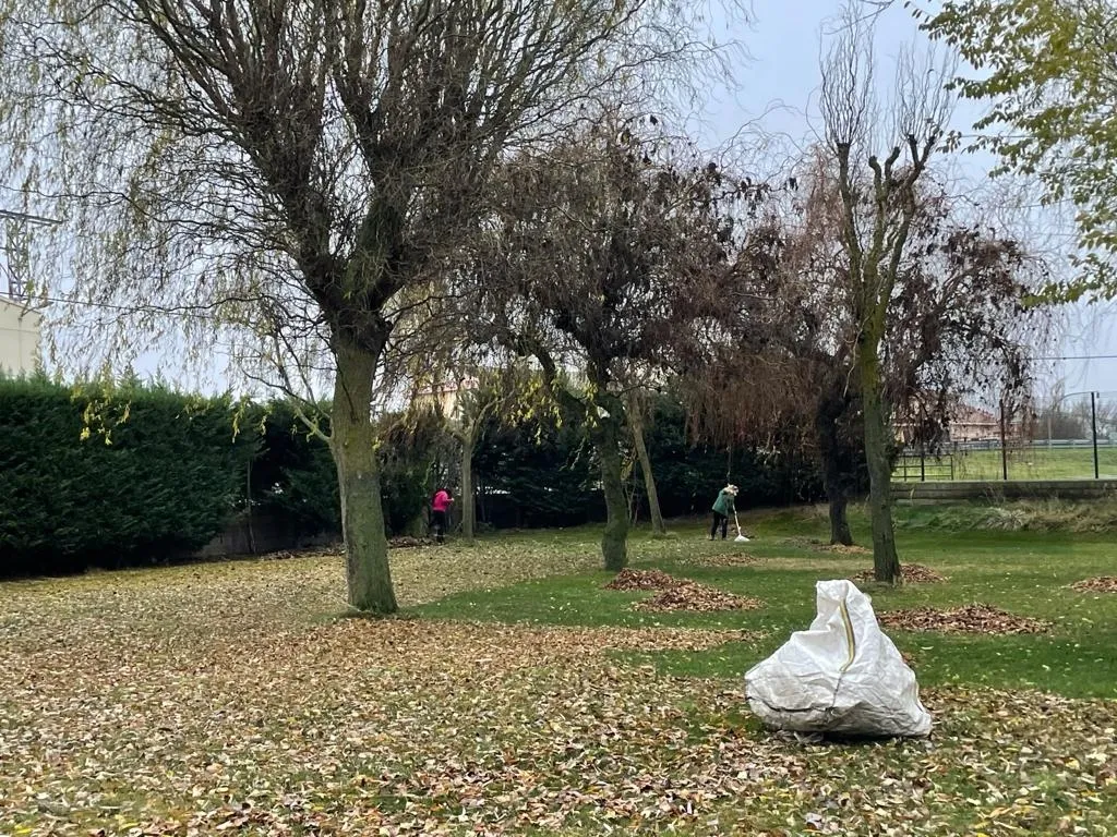 Foto 4 - Trabajos de desbroce y jardiner&iacute;a en diferentes puntos de Alba de Tormes  