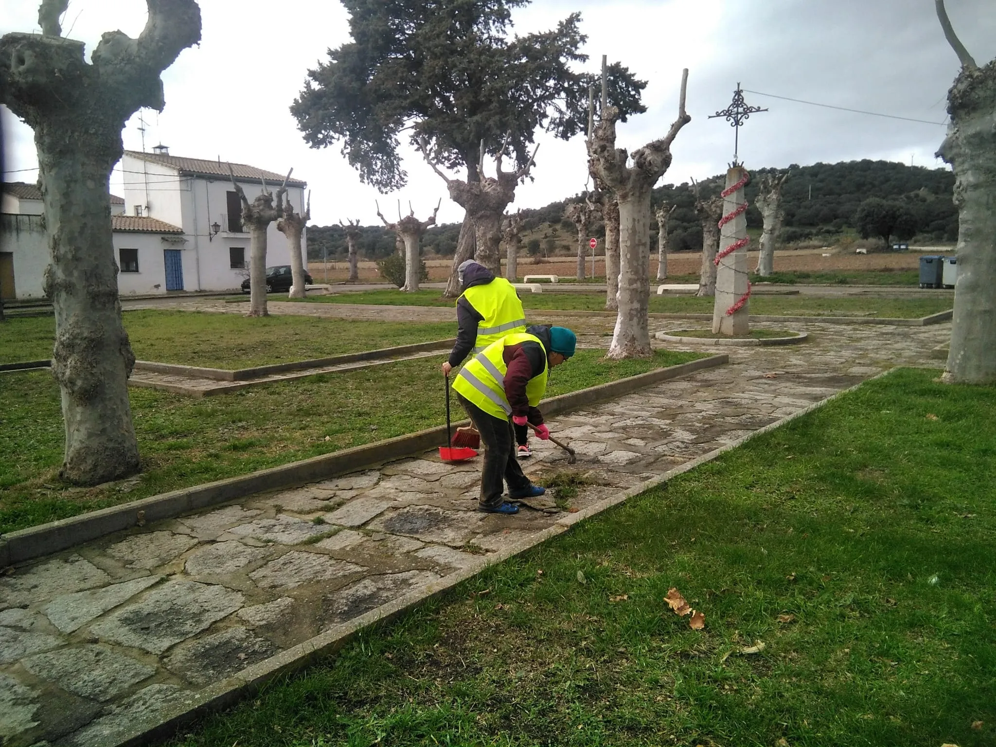 Foto 2 - Trabajos de desbroce y jardiner&iacute;a en diferentes puntos de Alba de Tormes  