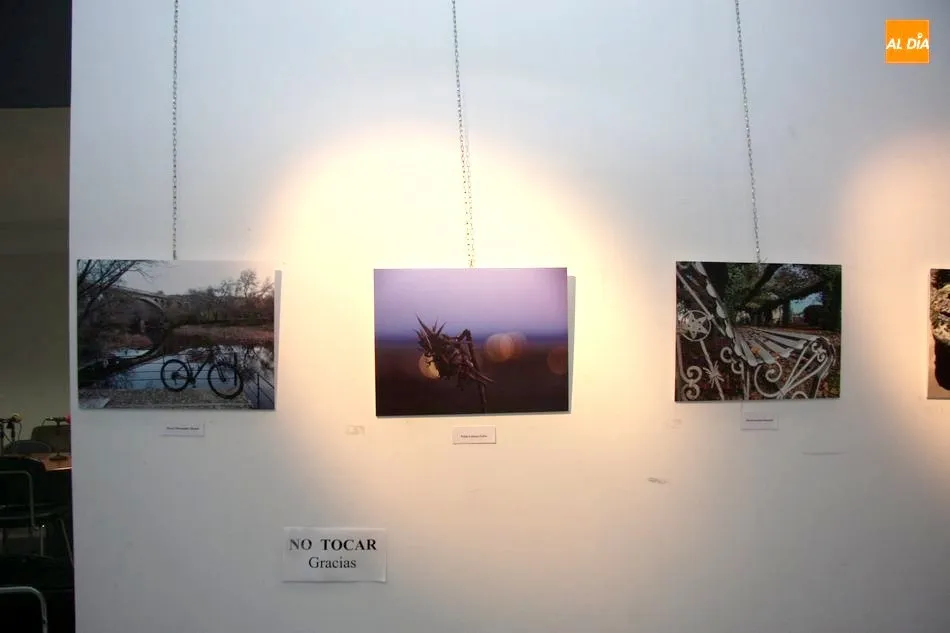 Foto 9 - El edificio San Nicol&aacute;s acoge la exposici&oacute;n del concurso de fotograf&iacute;a Vitigudino Sostenible  