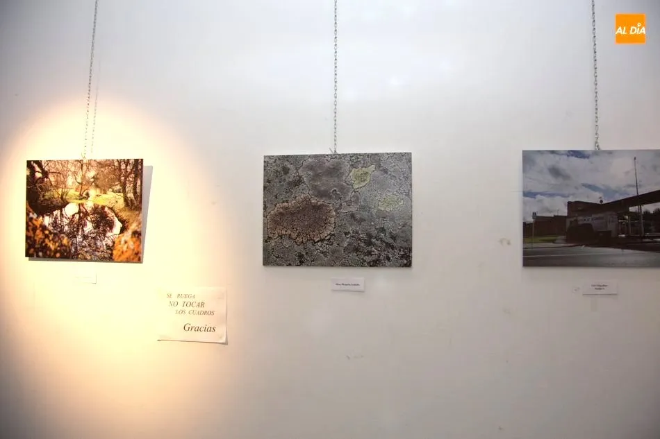 Foto 7 - El edificio San Nicol&aacute;s acoge la exposici&oacute;n del concurso de fotograf&iacute;a Vitigudino Sostenible  