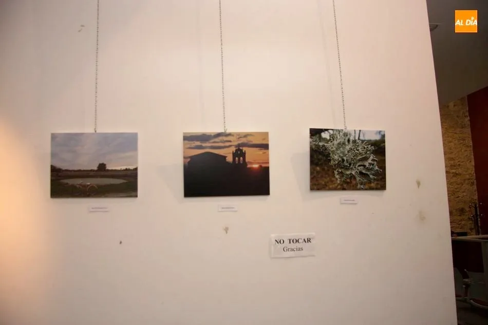 Foto 5 - El edificio San Nicol&aacute;s acoge la exposici&oacute;n del concurso de fotograf&iacute;a Vitigudino Sostenible  