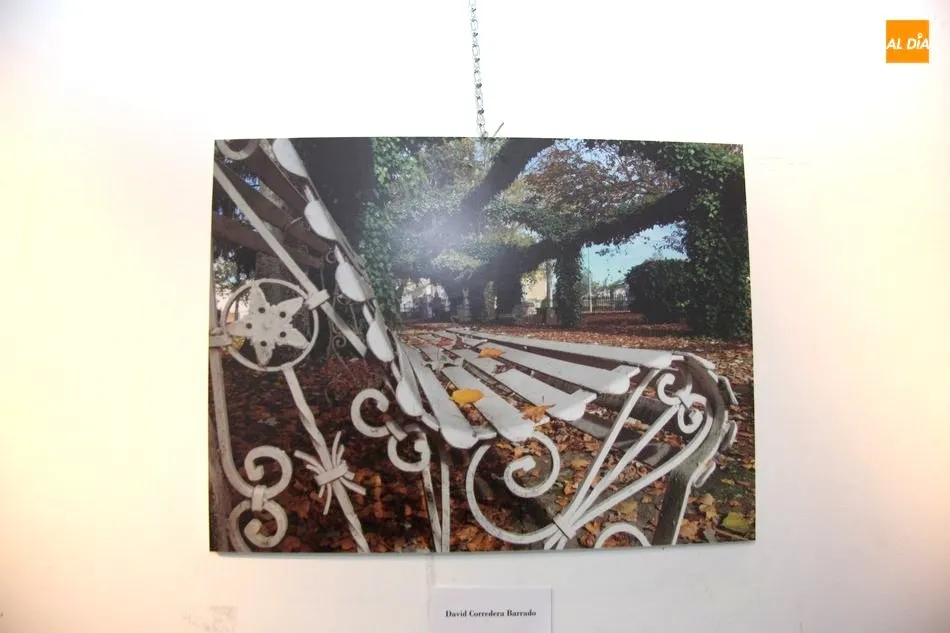 Foto 10 - El edificio San Nicol&aacute;s acoge la exposici&oacute;n del concurso de fotograf&iacute;a Vitigudino Sostenible  