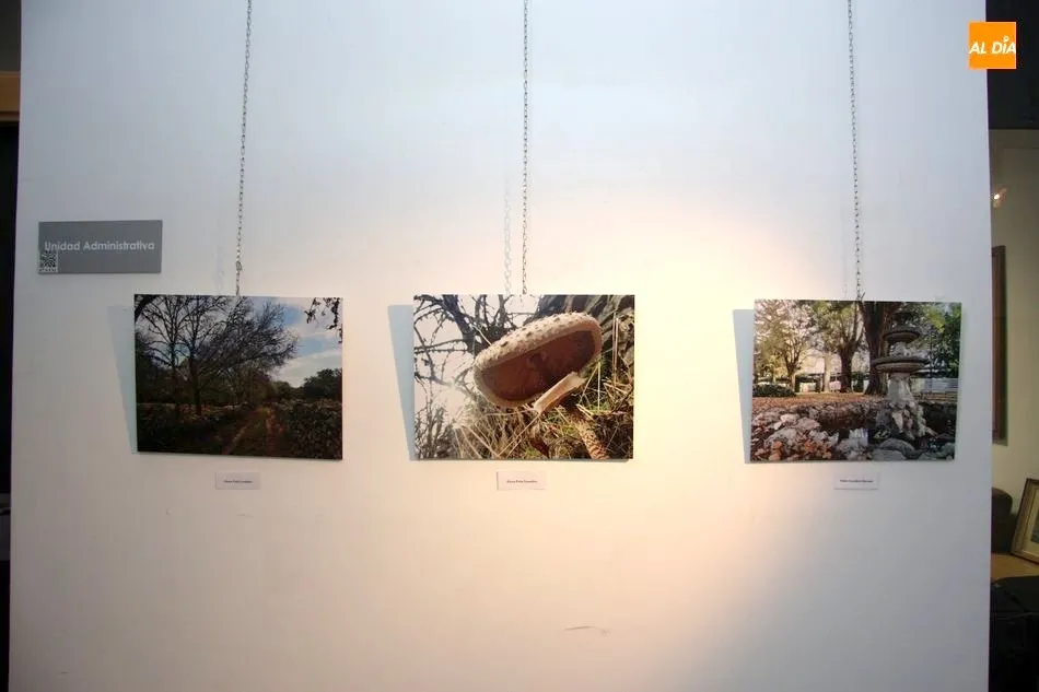 Foto 4 - El edificio San Nicol&aacute;s acoge la exposici&oacute;n del concurso de fotograf&iacute;a Vitigudino Sostenible  