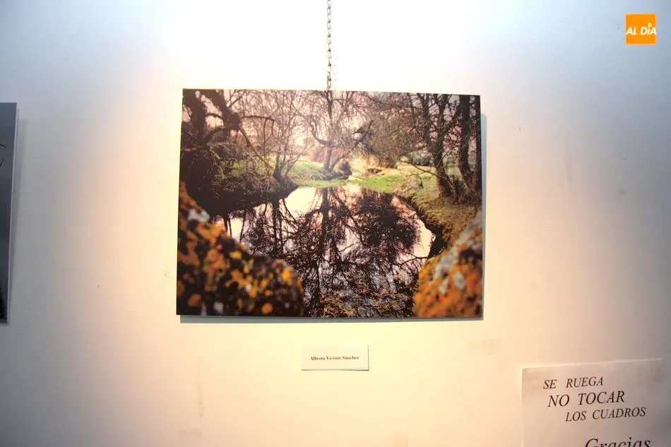 Foto 6 - El edificio San Nicol&aacute;s acoge la exposici&oacute;n del concurso de fotograf&iacute;a Vitigudino Sostenible  