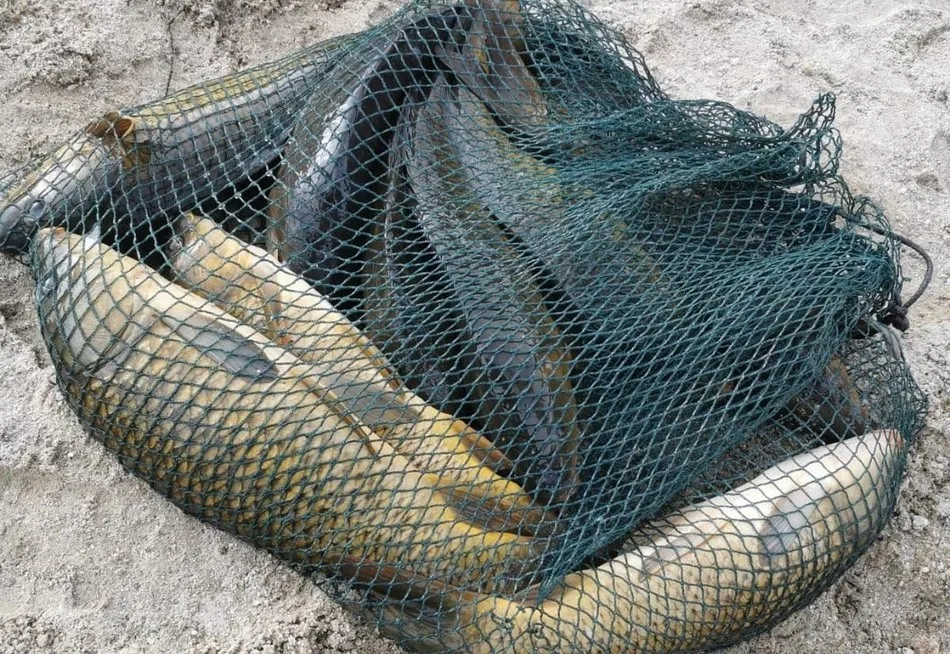 Foto 2 - De Alba a Monleras para disfrutar de la pesca los &uacute;ltimos d&iacute;as de 2020  
