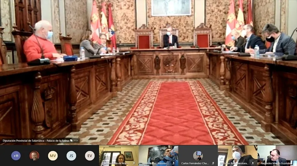 La sesión se celebró de forma telemática con la asistencia presencial de los portavoces