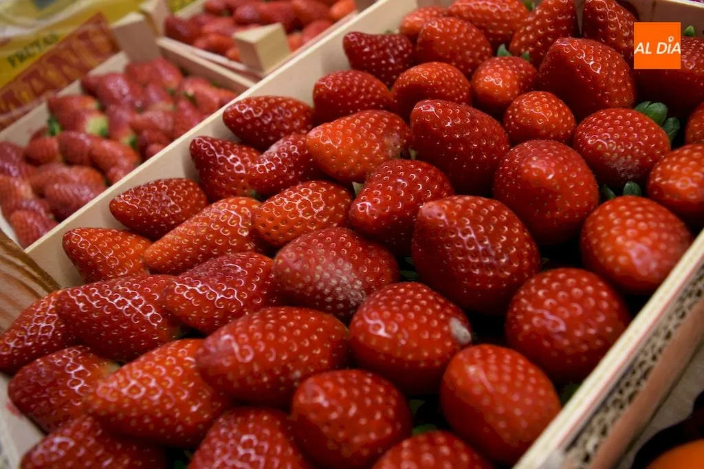 Foto 7 - Las mejores frutas y hortalizas con el mejor servicio se encuentran en Fruter&iacute;as P&eacute;rez Tejedor
