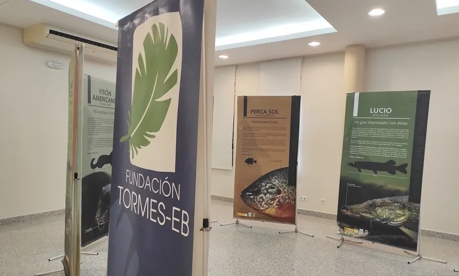 	Exposición para divulgar los animales acuáticos en Carbajosa