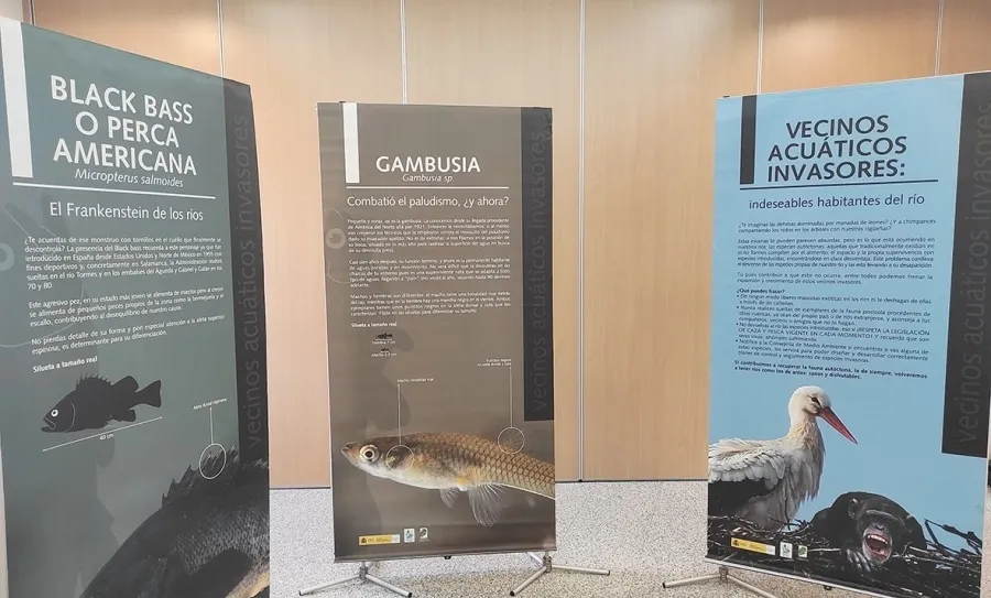 Foto 2 - La Casa de Cultura de Carbajosa acoge la exposici&oacute;n &lsquo;Nuestros vecinos acu&aacute;ticos&rsquo;