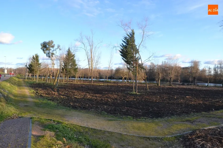 Foto 6 - La plantaci&oacute;n de los fresnos en la Alameda Vieja comenzar&aacute; en los pr&oacute;ximos d&iacute;as  