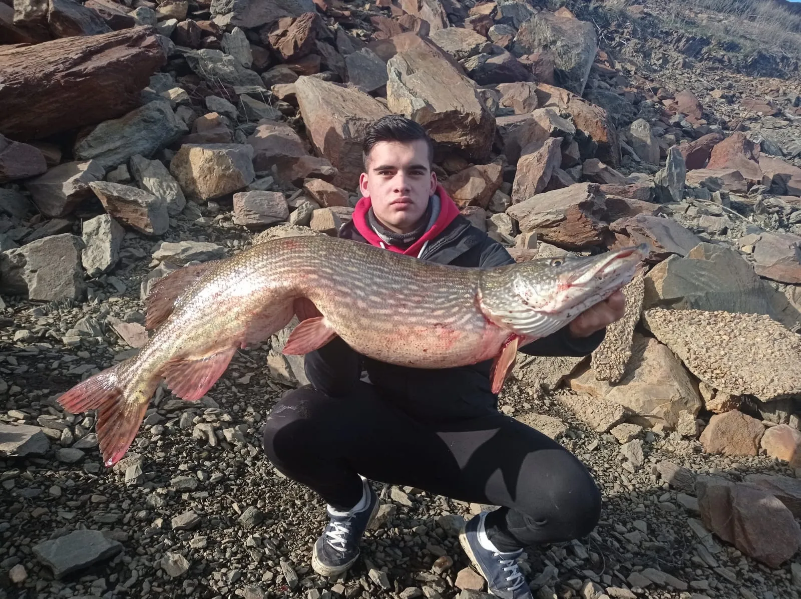 El joven Pablo Martín captura en el Águeda un lucio de casi 11 kilos  