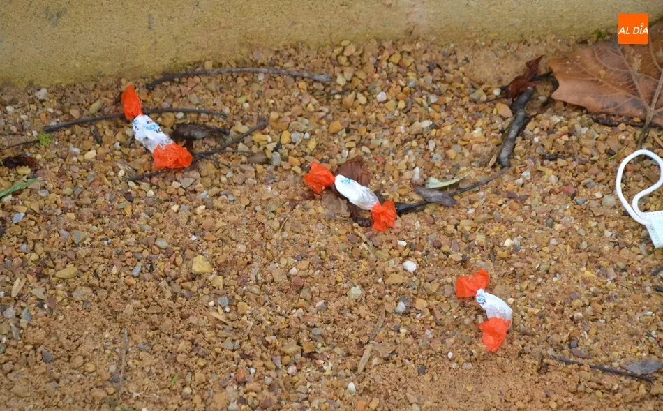 1Foto: Atracón dulce... y de suciedad  