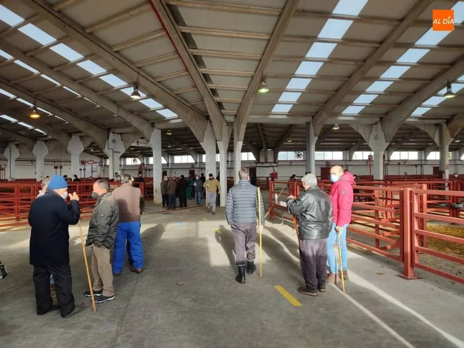 Foto 2 - Primer jornada de mercado del 2021  