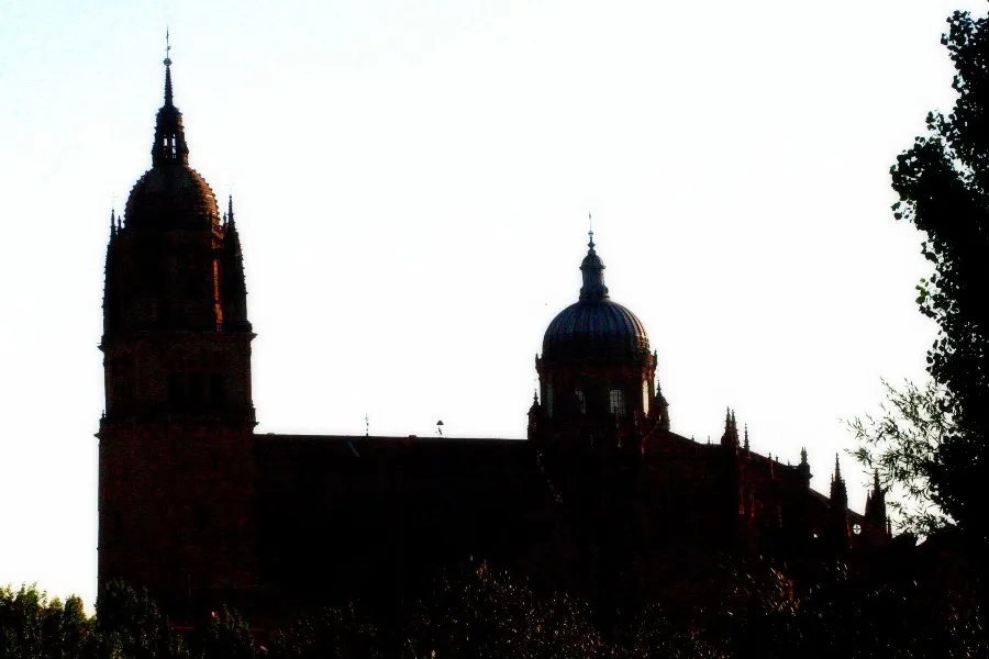 Foto 3 - La silueta de la ciudad