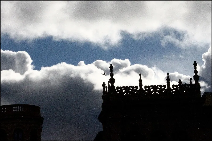 Foto 4 - La silueta de la ciudad