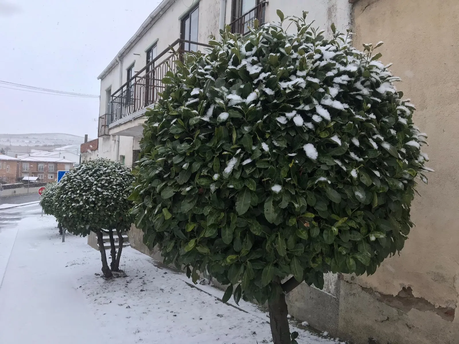 Foto 8 - La nieve hace acto de presencia en Alba de Tormes