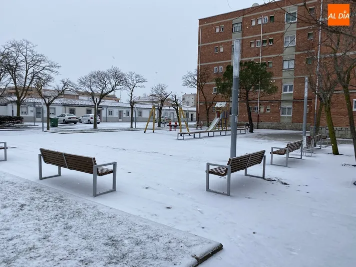 Foto 9 - La borrasca Filomena llega con una fuerte nevada a Pe&ntilde;aranda y complica la situaci&oacute;n en las...