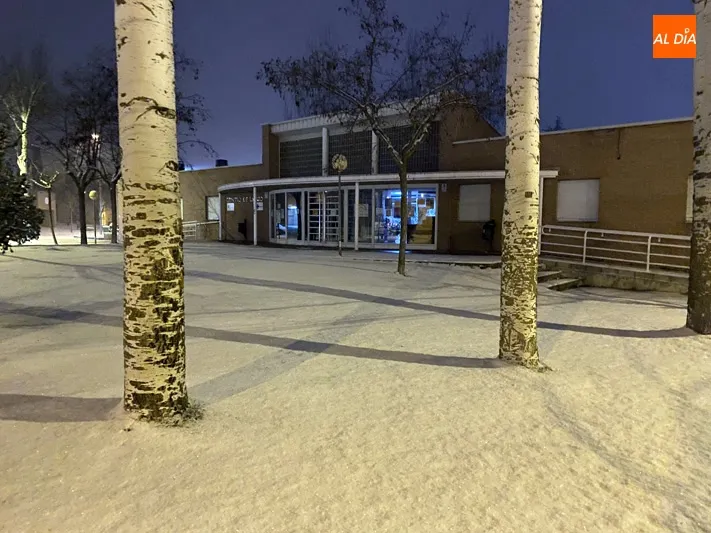 Foto 3 - La borrasca Filomena llega con una fuerte nevada a Pe&ntilde;aranda y complica la situaci&oacute;n en las...