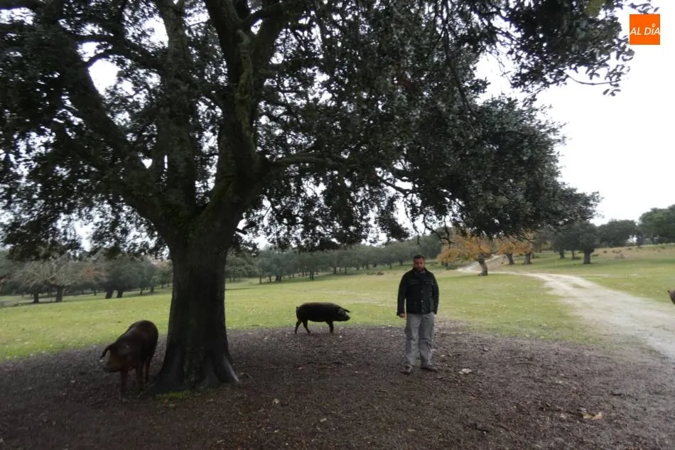 Foto 3 - &ldquo;Preve&iacute;amos una montanera peor, pero sorprendentemente es incluso mejor que la pasada&rdquo;  